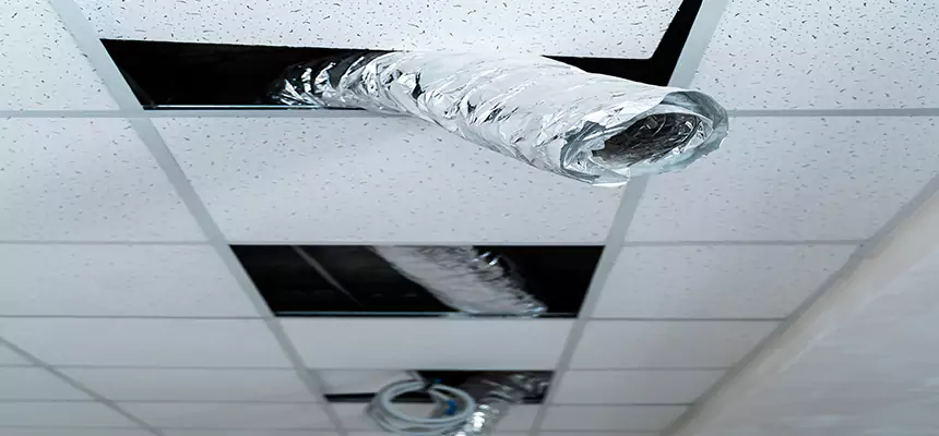 Our Air Duct Pet Hair Removal Services in Groves, TX