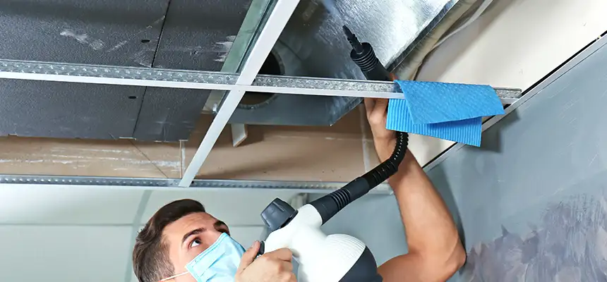 Our Air Duct Rodent Removal Services in Groves, TX