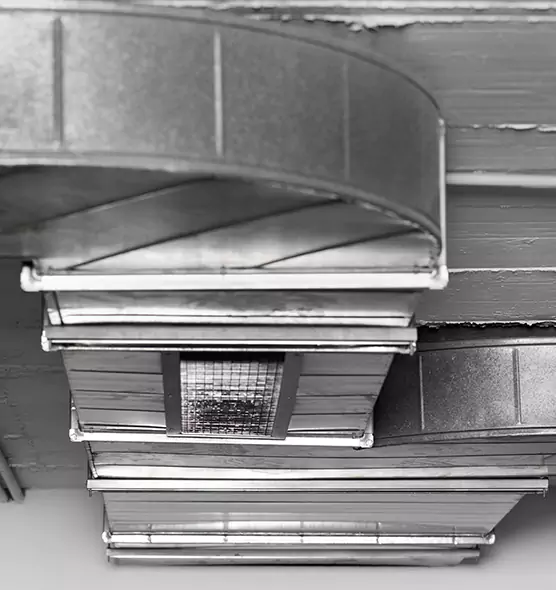 Professional Air Duct Pest Removal in Groves, TX