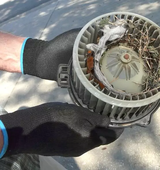 About Air Duct Rat Removal in Groves, TX